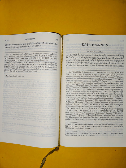 Nouveau Testament Grec avec dictionnaire